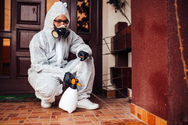 Reliable Wasp Removal contractor in Steubenville, OH by Show Me Pest Control